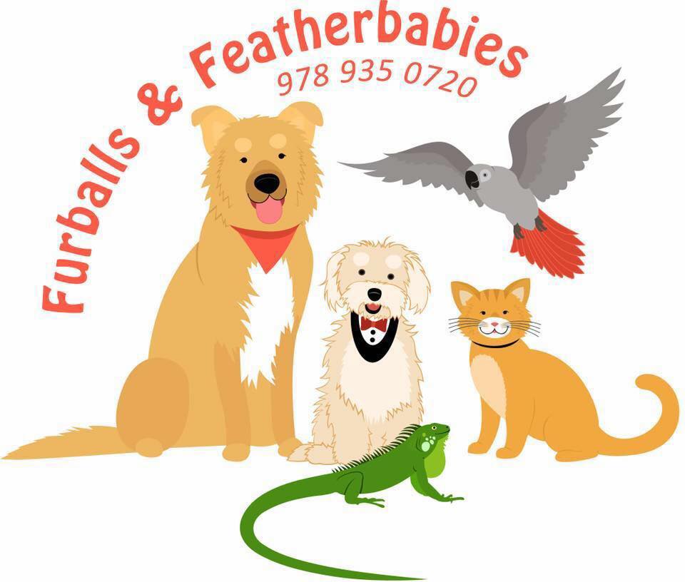 291691102_701440664412870_4891454463187341380_n